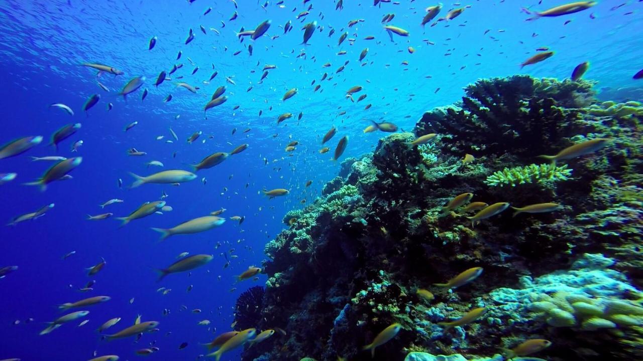 Отель Sky Maldives -