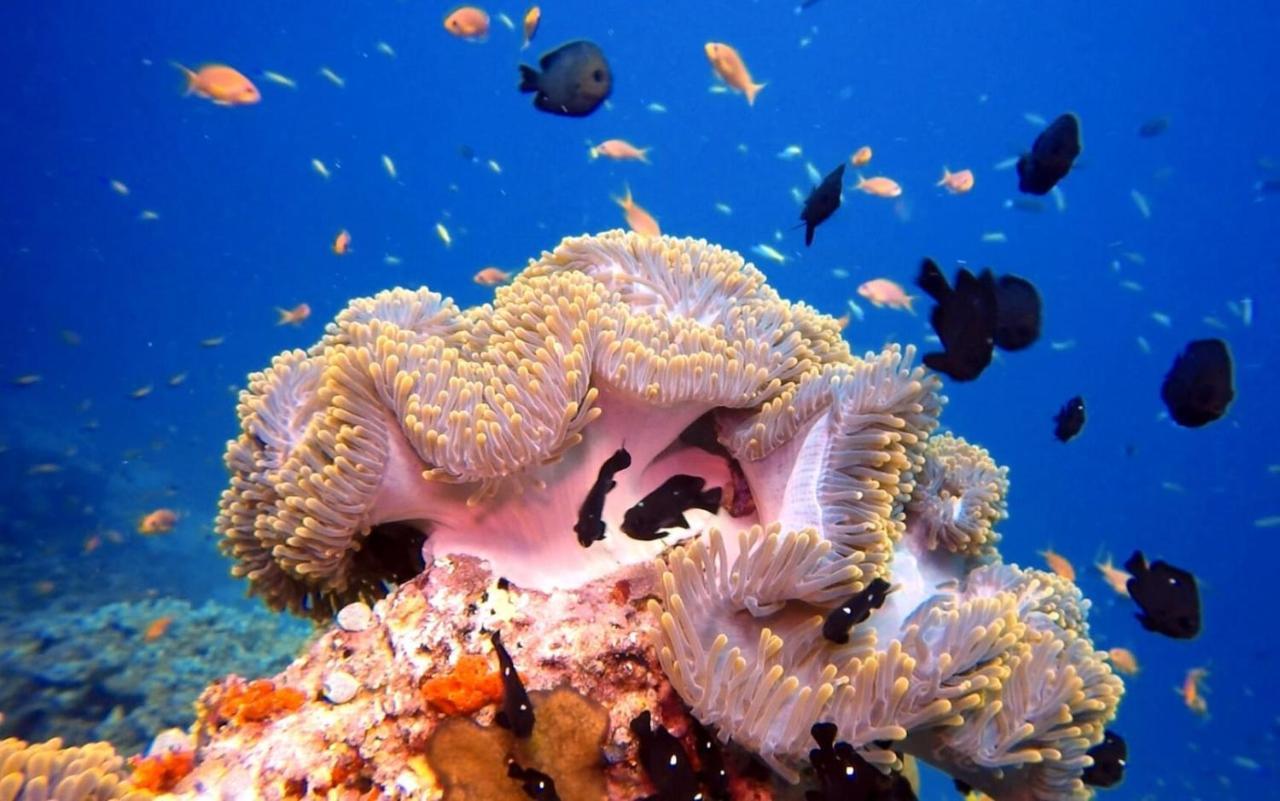 Sky Maldives - Готель 4*