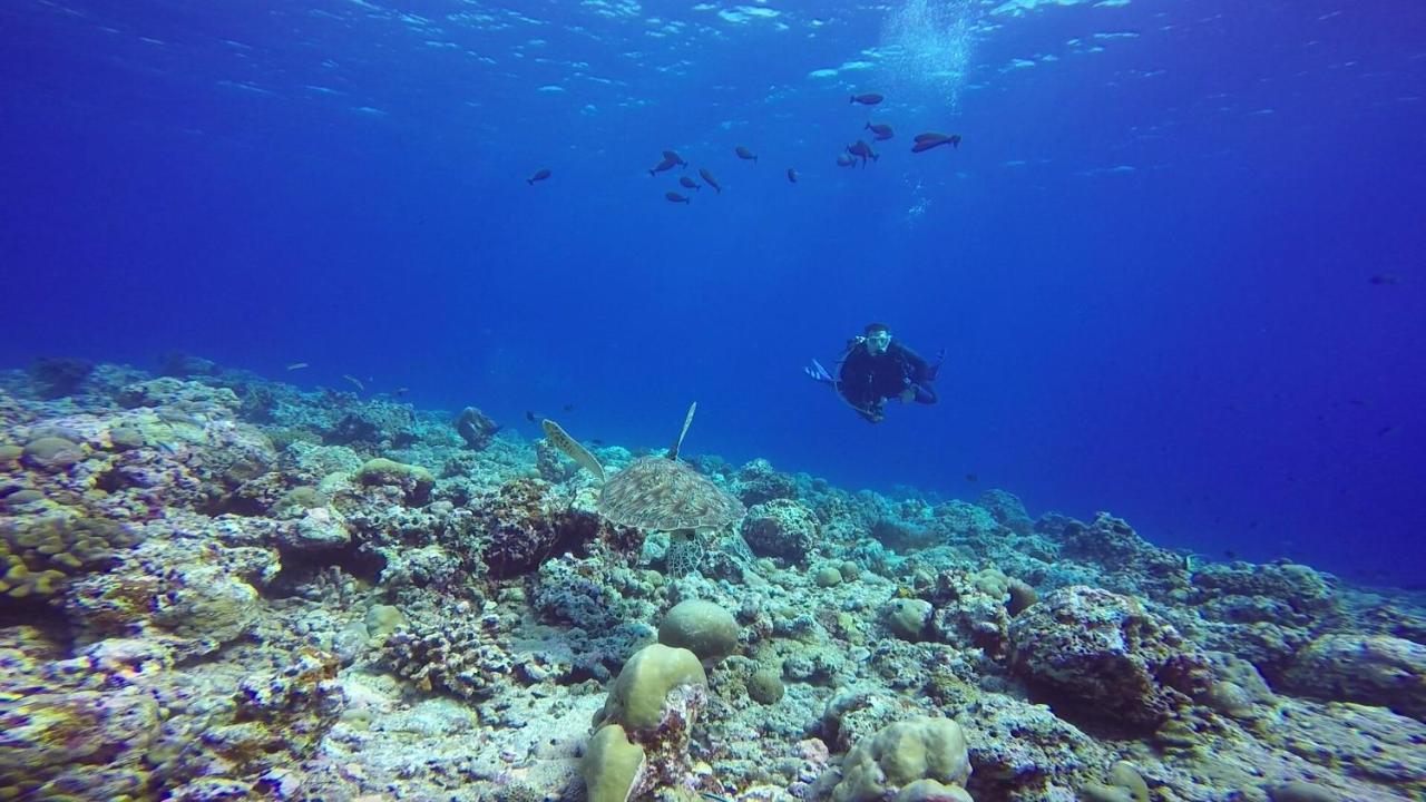 Sky Maldives - 4*